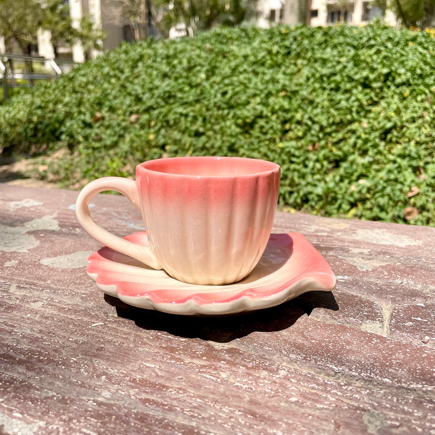 Ocean shell cup saucer (Ombré pink)