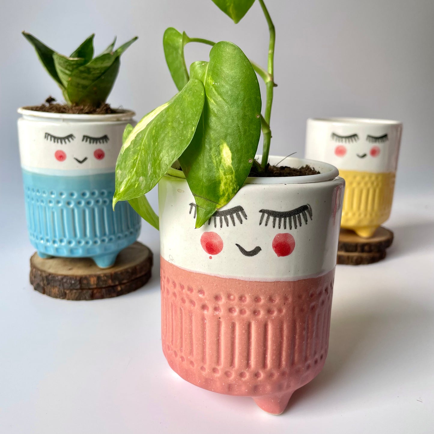 3 Musketeer planter Gift Hamper