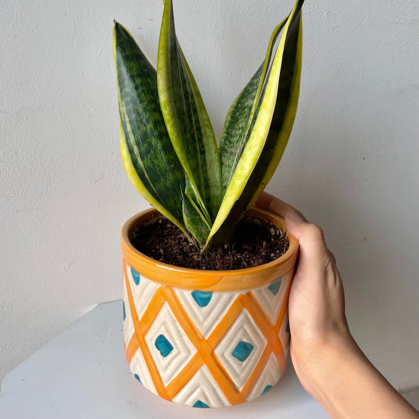 Buy Bagh Planter online