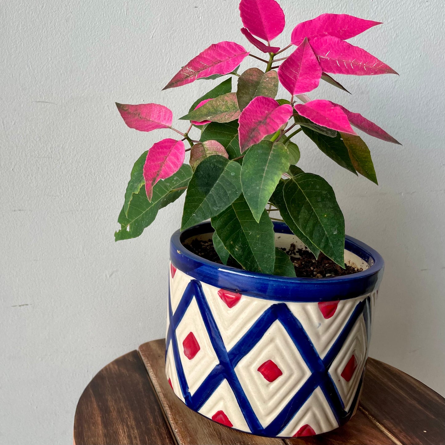 Bagh Planter Online