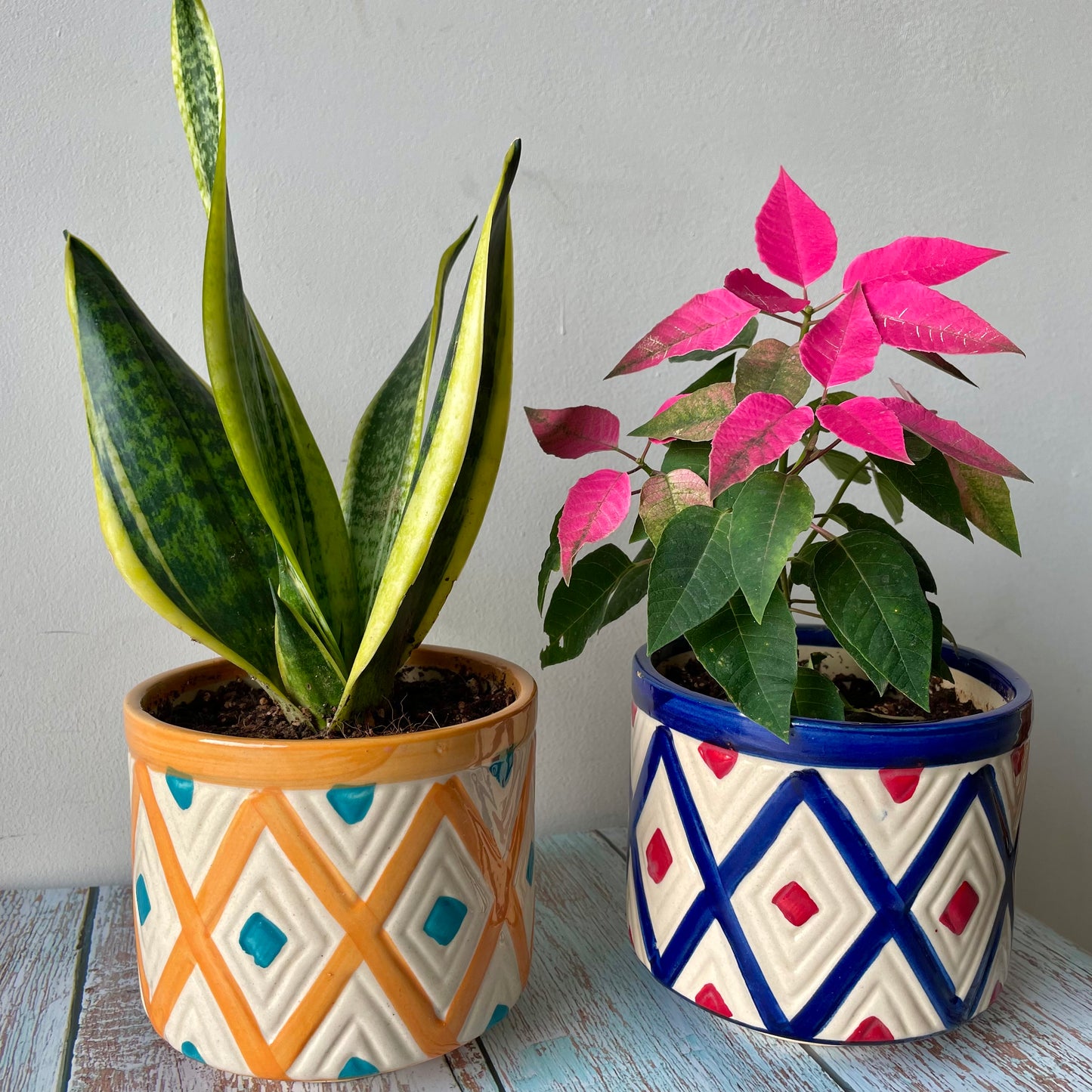 Bagh Planter