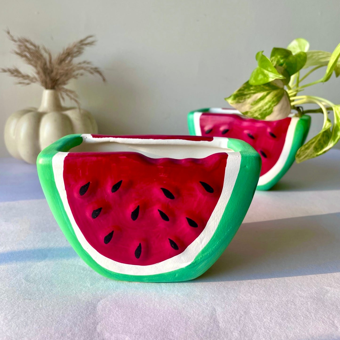 Watermelon Planter