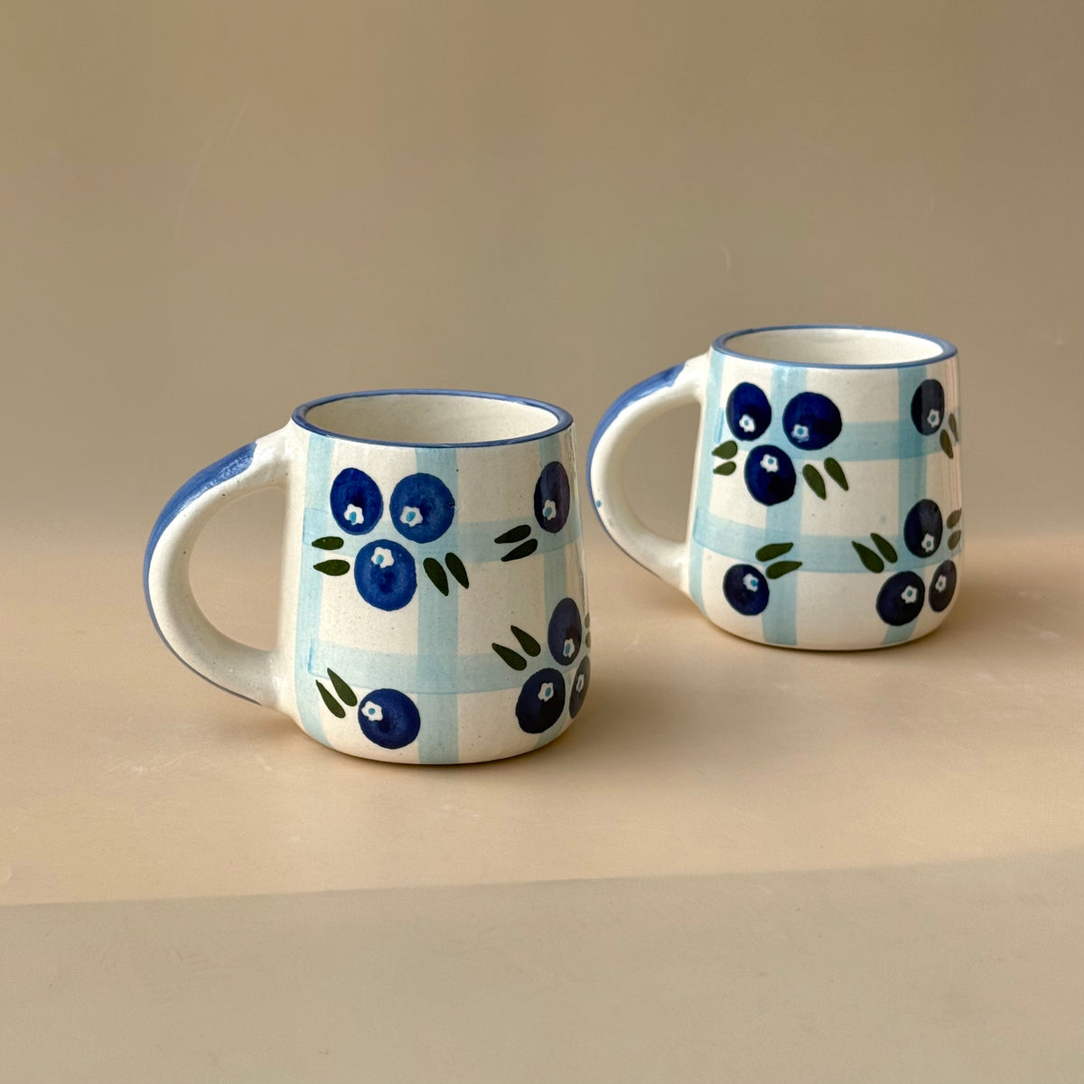 Blueberry picnic mug