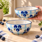 Blueberry Picnic Bowl
