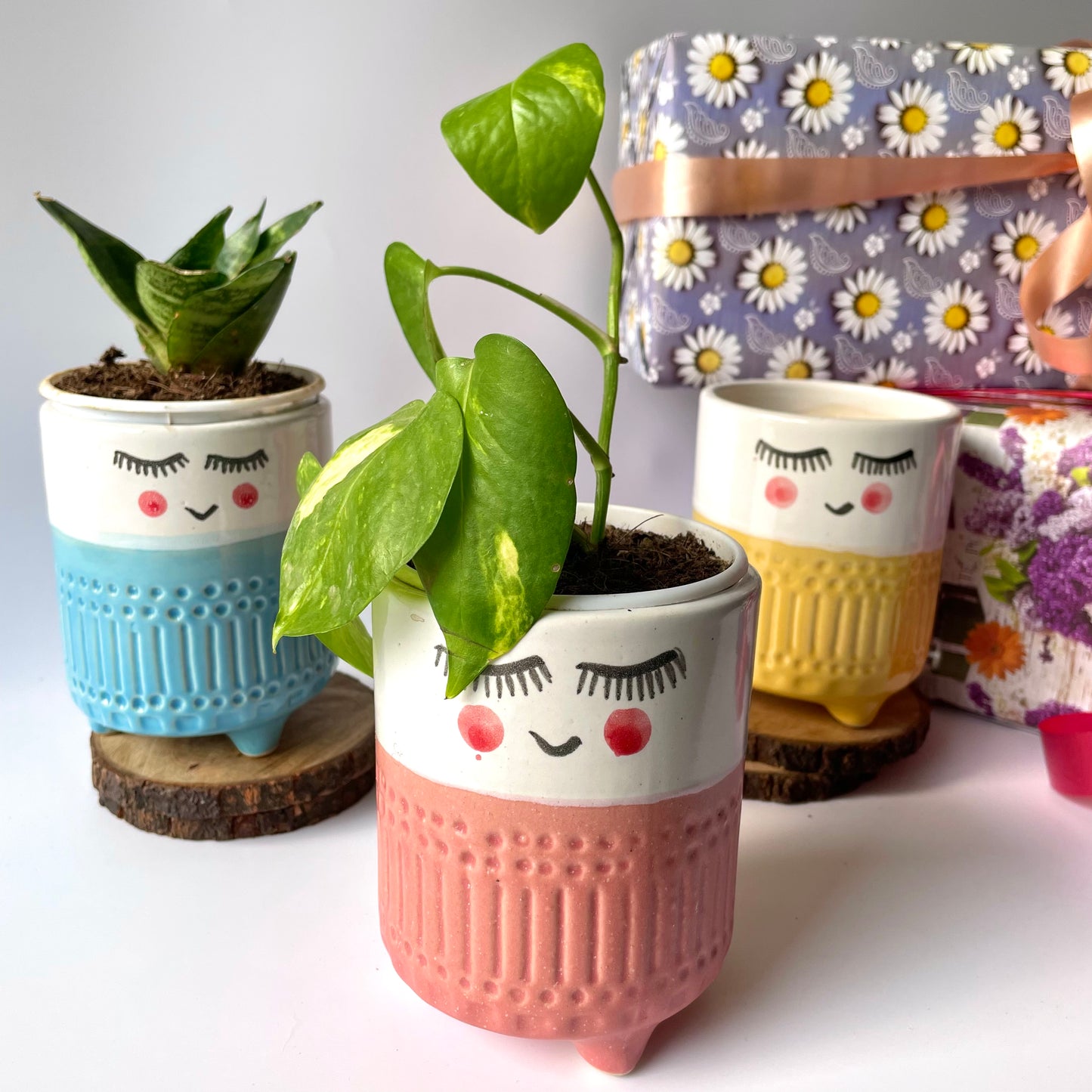 3 Musketeer planter Gift Hamper