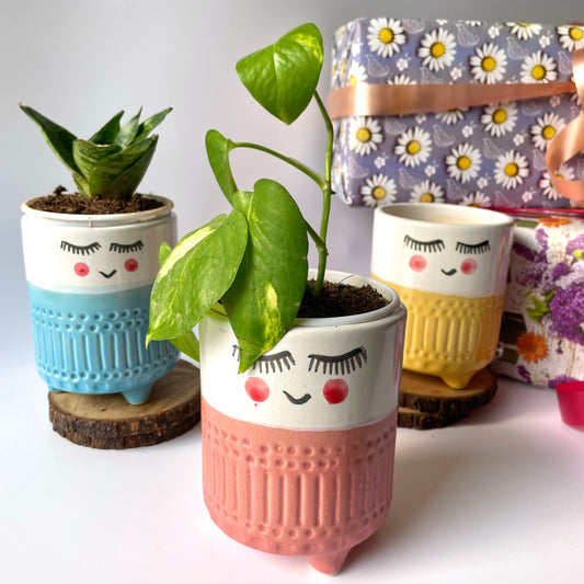 3 Musketeer planter Gift Hamper