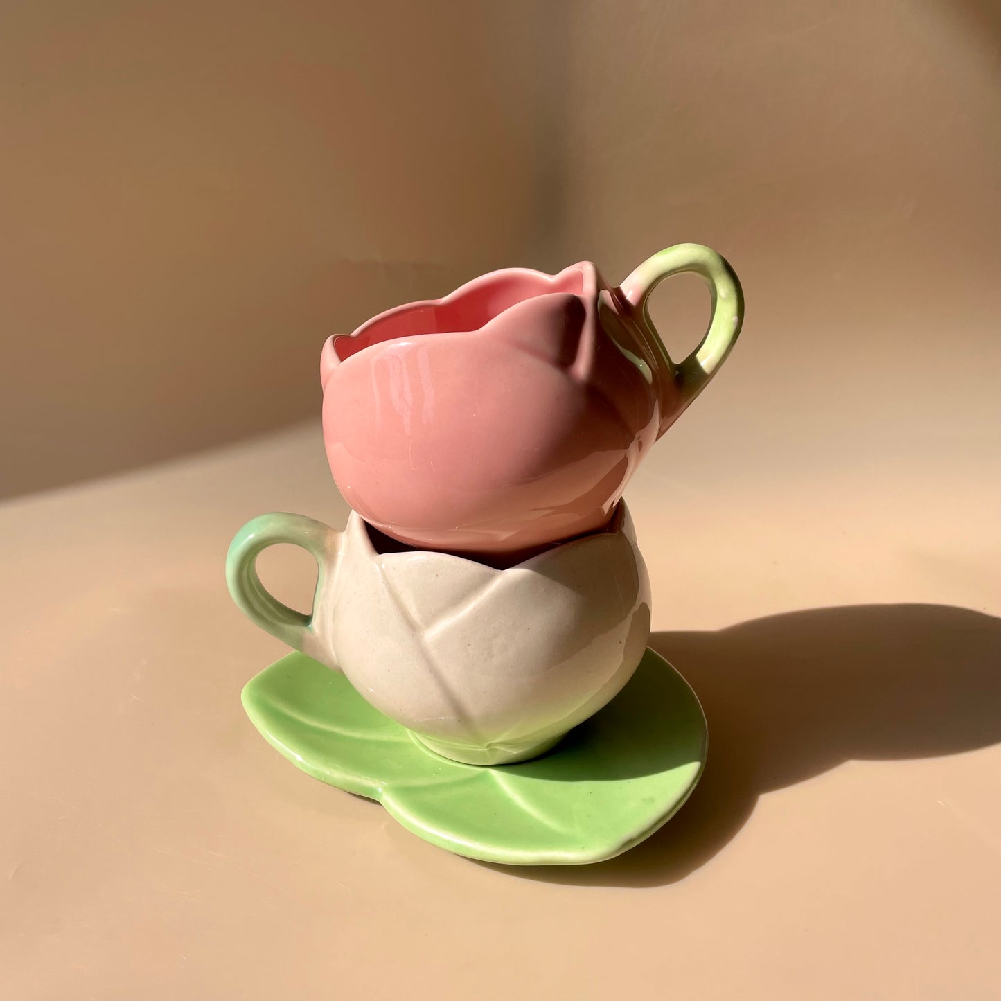 Set of 5 pinteresty mugs with plates