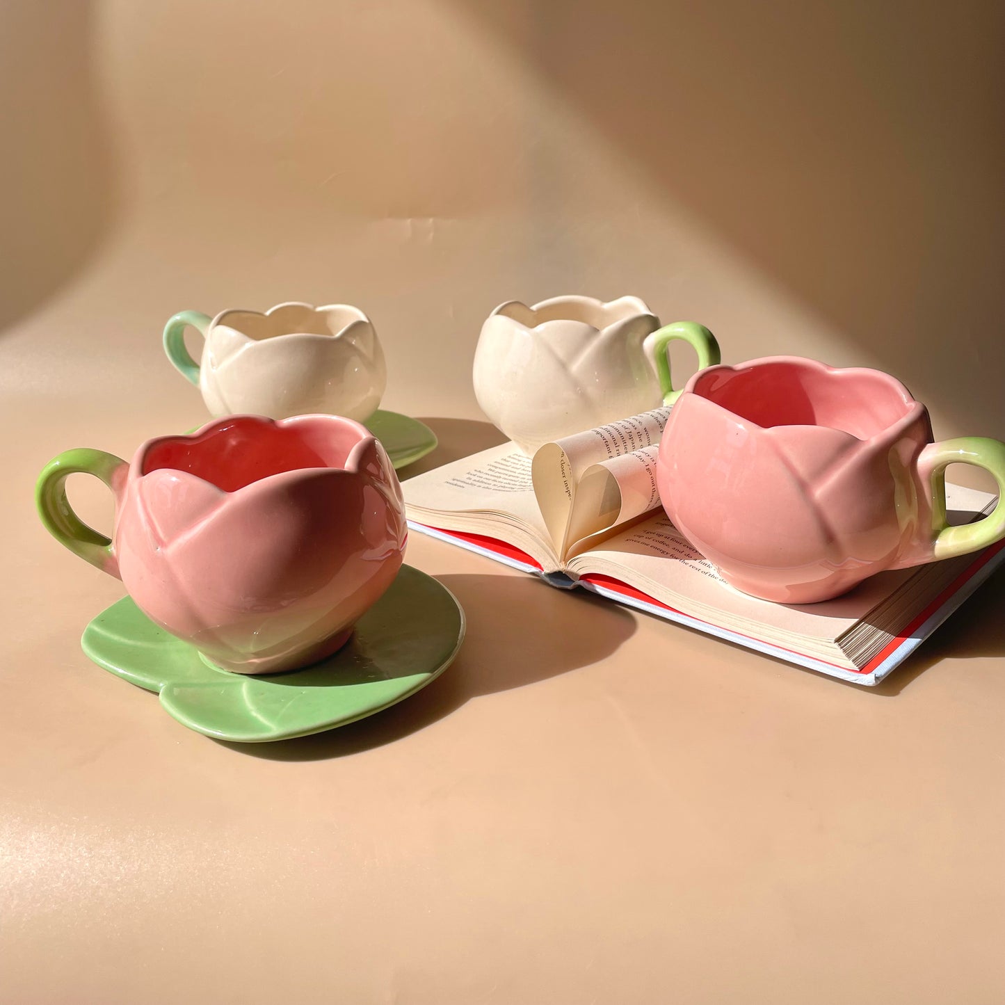 Lotus biscoff mug saucer set (4 pieces)