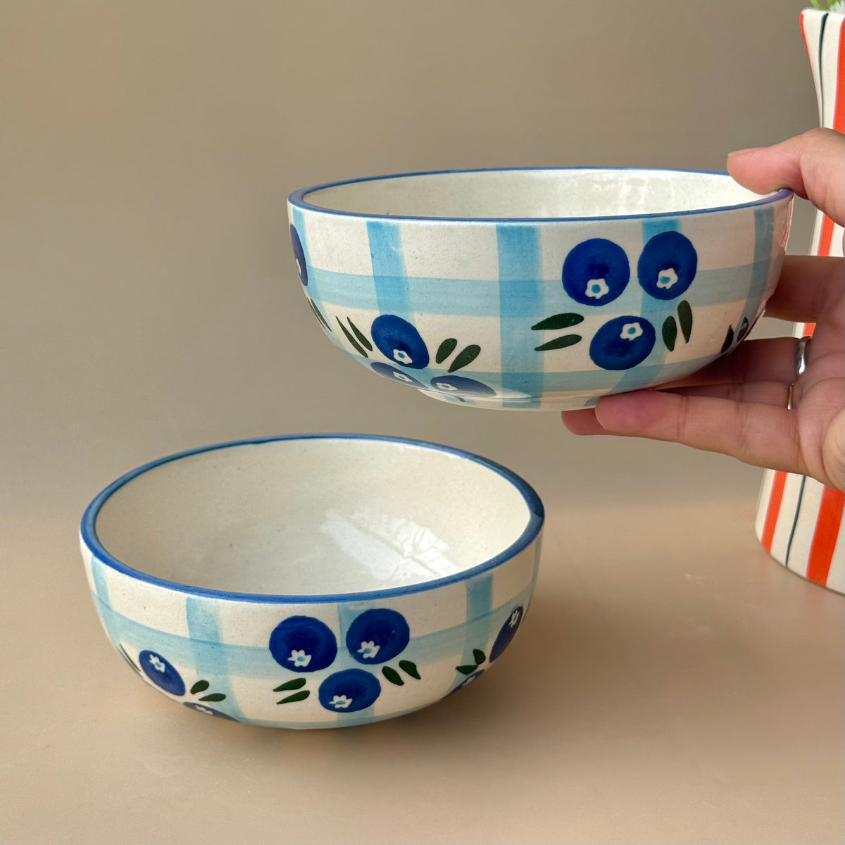 Blueberry Picnic Bowl
