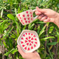 Sweetheart cup and saucer