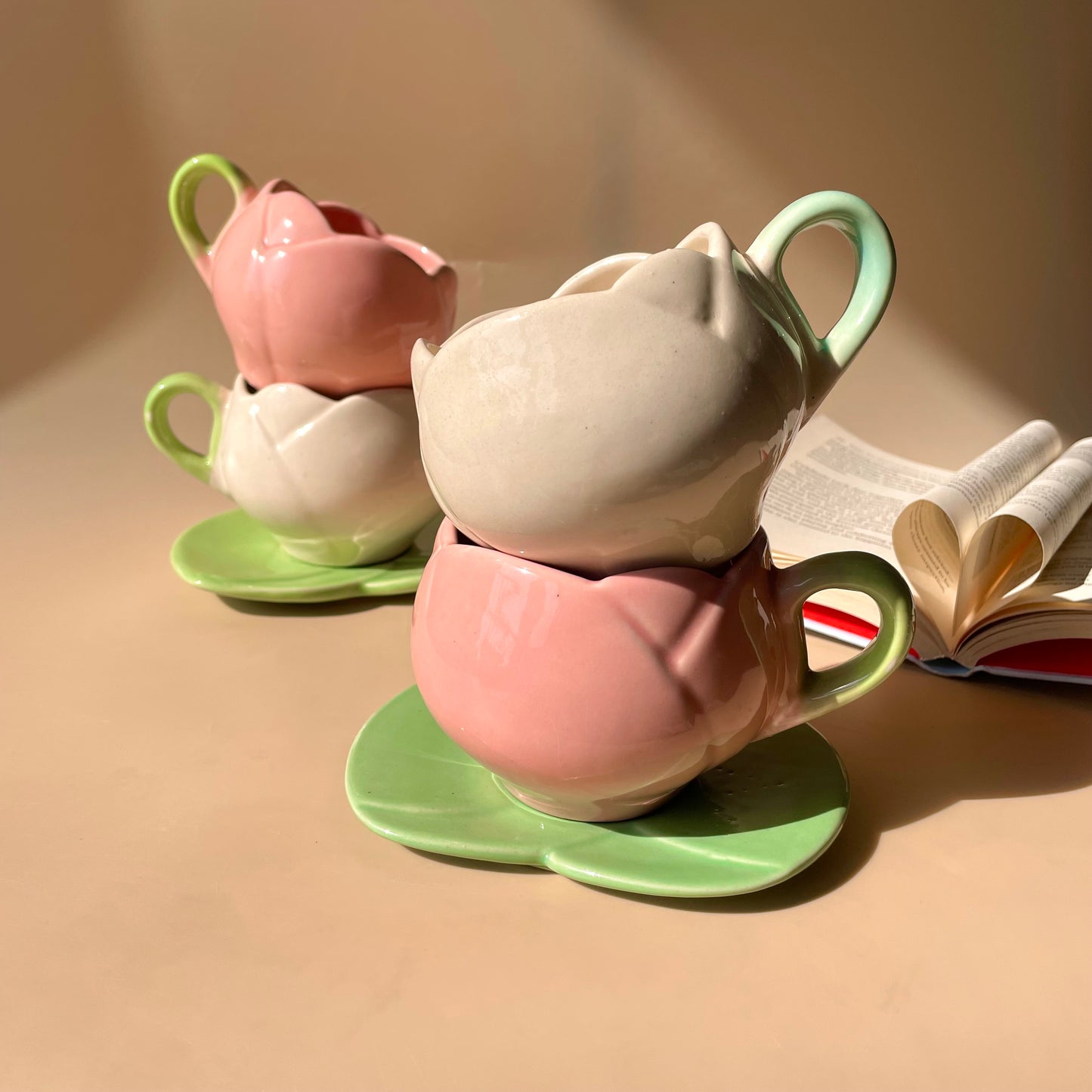 Lotus biscoff mug saucer set (4 pieces)