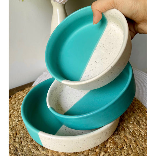Buy Dual Shade Salad Bowl Set