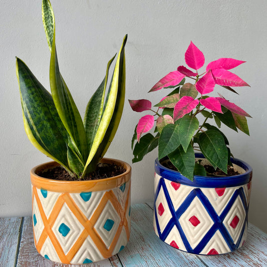 Bagh Planter