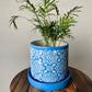 Buy Blue Flower Planter